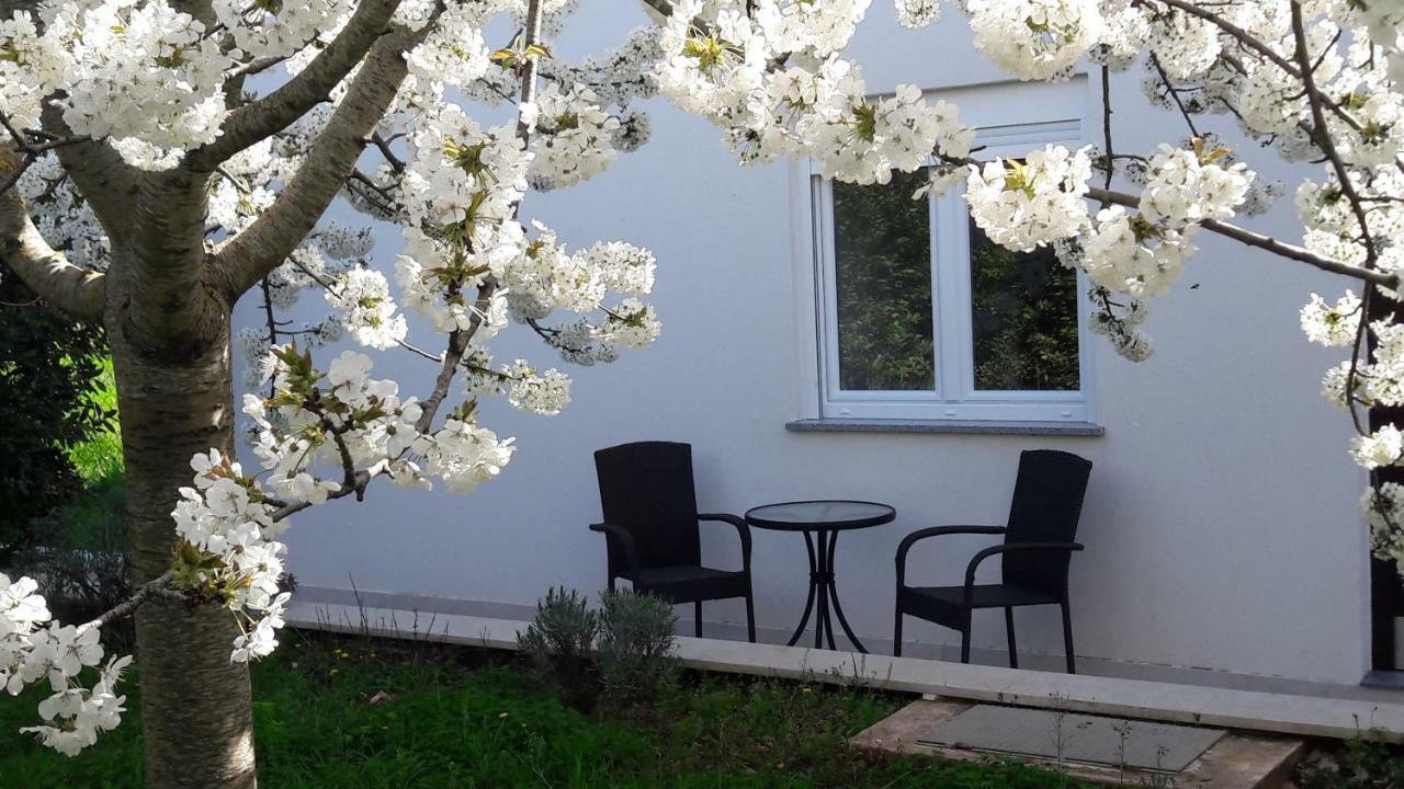 Apartment Greeny Galizana Exterior photo